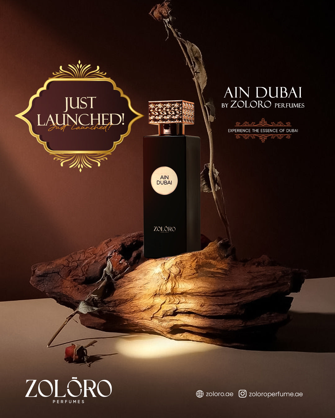 AIN DUBAI BY ZOLORO Extrait de Parfum, 70ml, Unisex